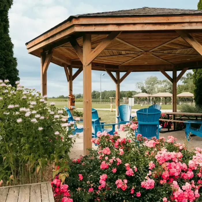 An exterior photo of the library's back garden gazebo. The gazebo is made of wood and has a picnic table and blue adirondac chairs inside. There is a pink rosebush in full bloom in the forground, with a green field in the background.